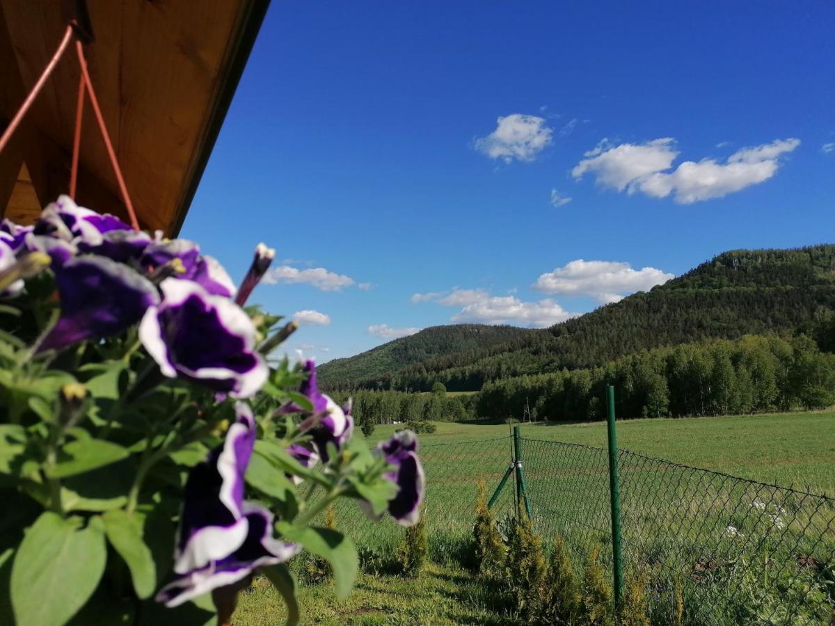 Domki Pod Derkaczem Radkow Esterno foto