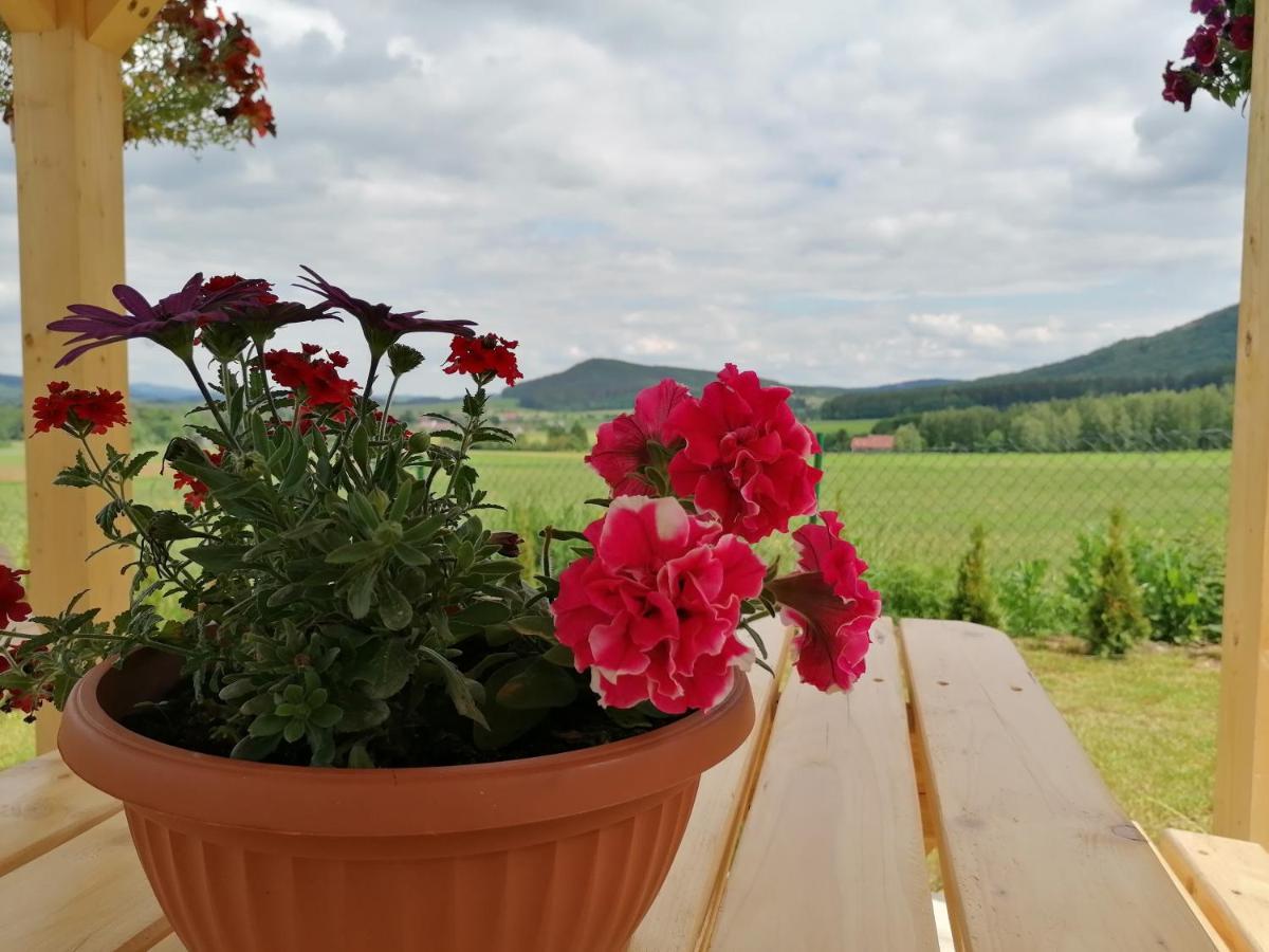 Domki Pod Derkaczem Radkow Esterno foto